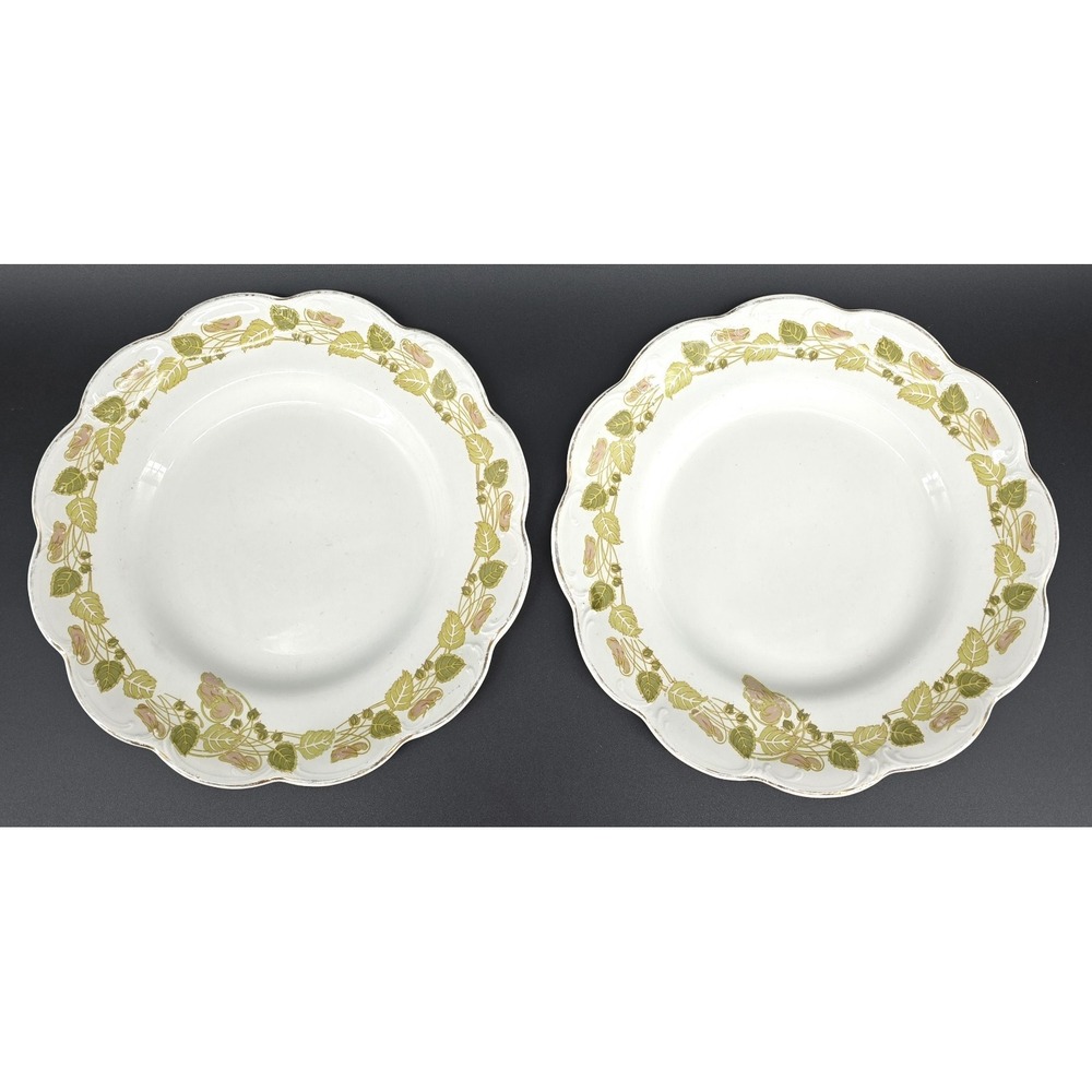 Set of 2 Johnson Brothers The Tuscany Salad‎ Plates Green Pink Leaves Scallop